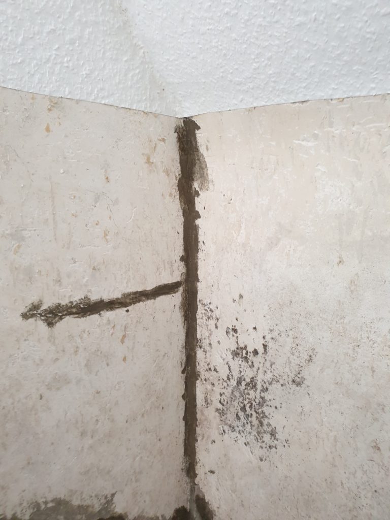 thor protect keller abdichten erfahrungen