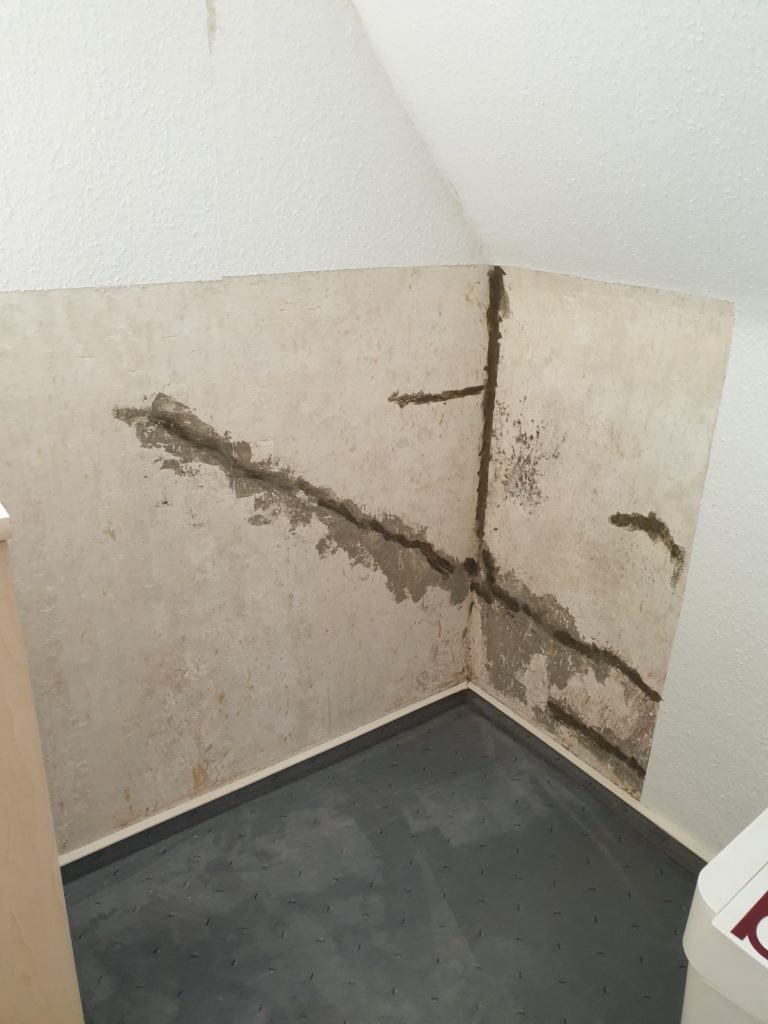 thor protect kellerabdichtung erfahrungen 2022